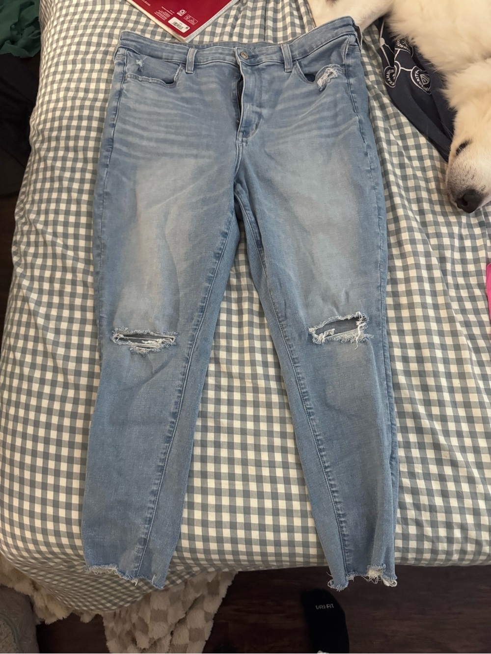 American Eagle Outfitters Light Blue Ripped Skinny Jeans
